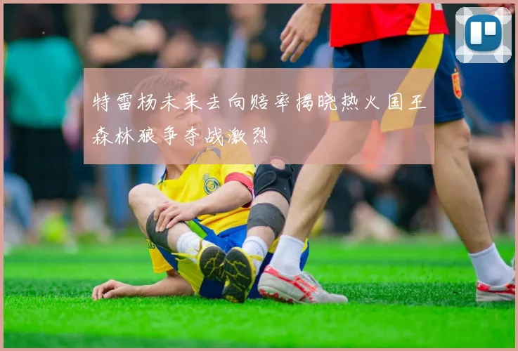 特雷杨未来去向赔率揭晓热火国王森林狼争夺战激烈