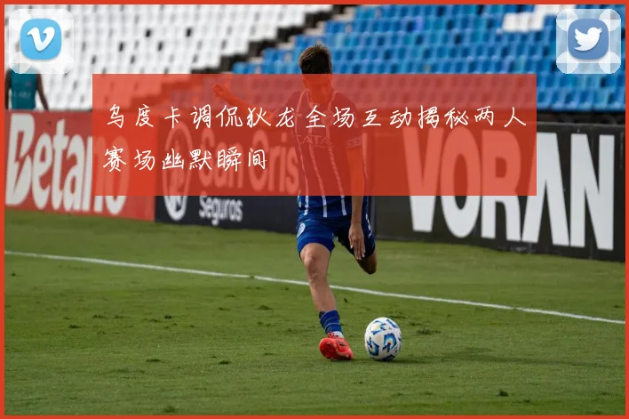 乌度卡调侃狄龙全场互动揭秘两人赛场幽默瞬间