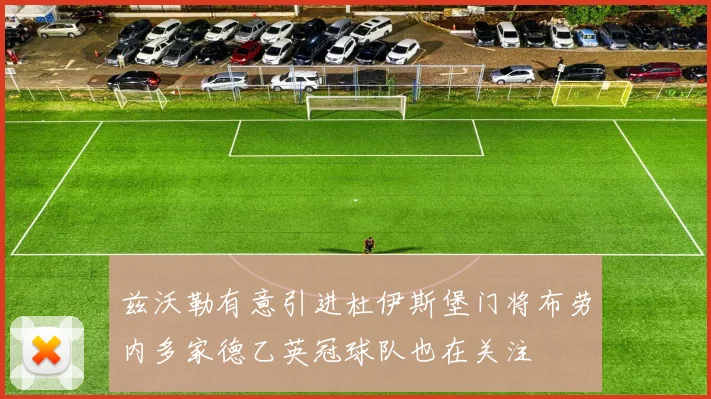 兹沃勒有意引进杜伊斯堡门将布劳内多家德乙英冠球队也在关注
