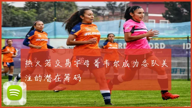 热火若交易字母哥韦尔成为各队关注的潜在筹码