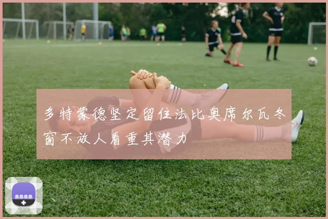 多特蒙德坚定留住法比奥席尔瓦冬窗不放人看重其潜力