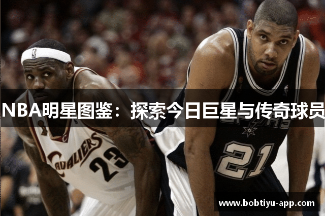 NBA明星图鉴：探索今日巨星与传奇球员